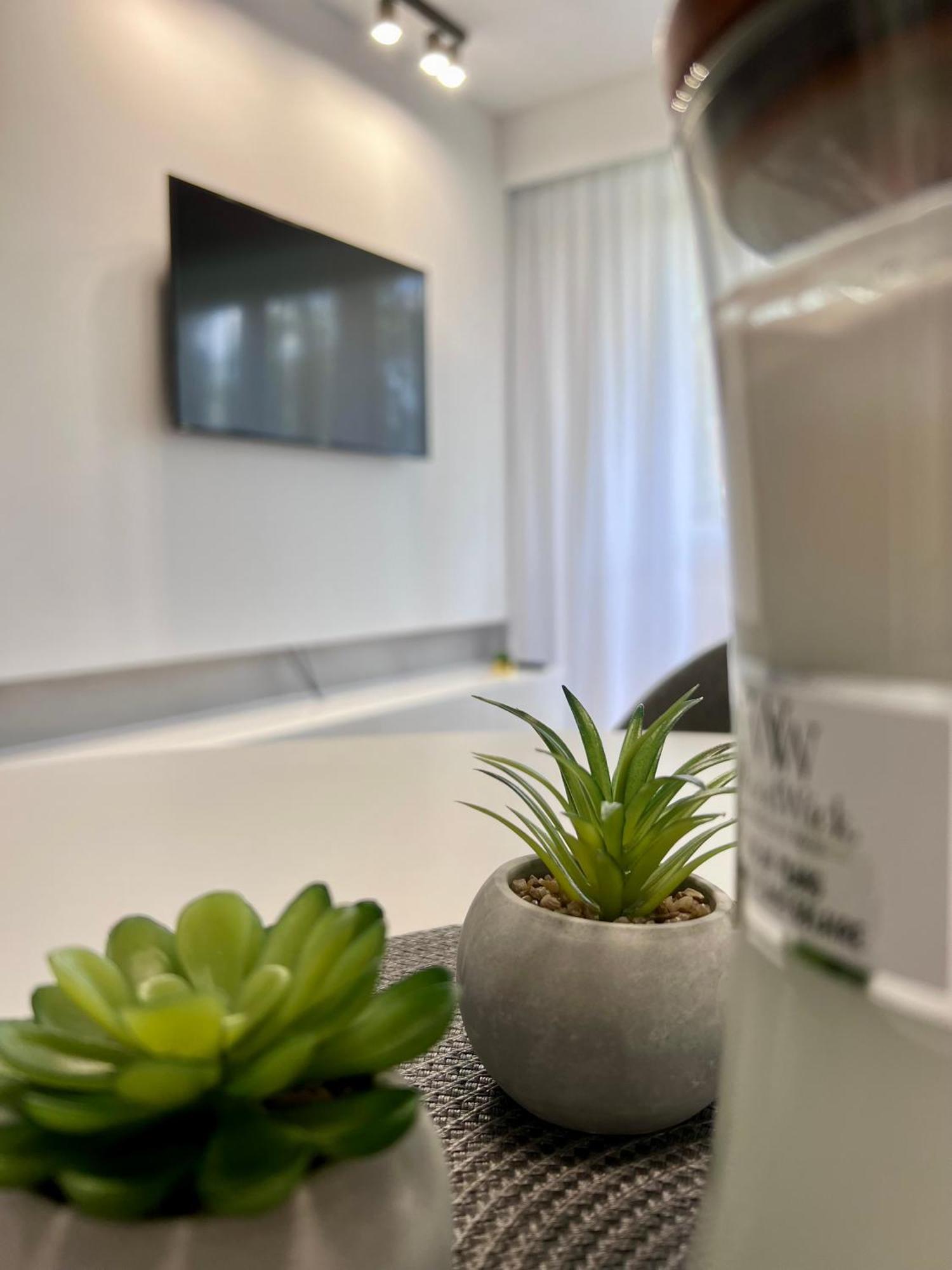 M&S Lux Apartments Kochanowskiego Łódź Zewnętrze zdjęcie